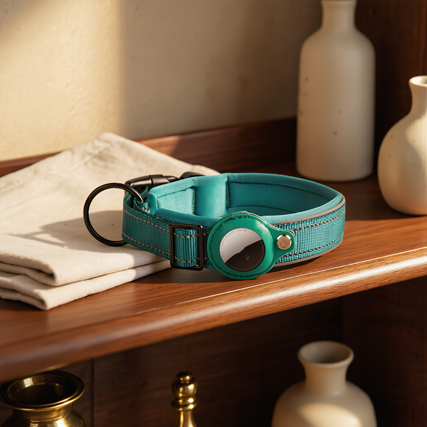 FELVO Halo, Leather AirTag Collar styled in a warm modern interior