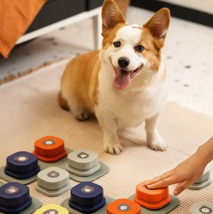 FELVO Chatter, Recordable Pet Talk Button, product photo