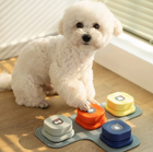 FELVO Chatter, Recordable Pet Talk Button, product photo