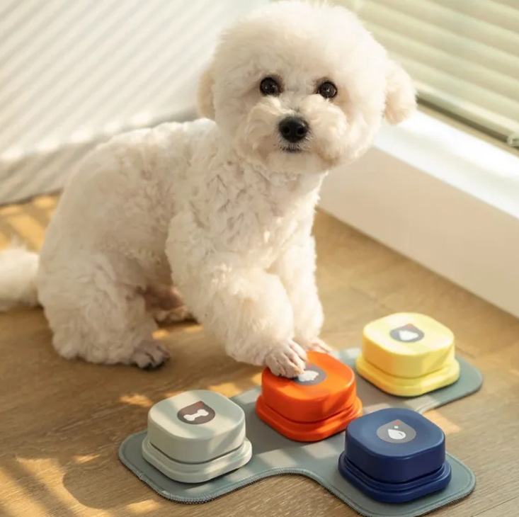 FELVO Chatter, Recordable Pet Talk Button, product photo