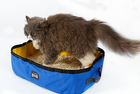 FELVO Oxford Loo, Foldable Travel Litter Box, product photo 1
