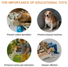 FELVO Chatter, Recordable Pet Talk Button, product photo