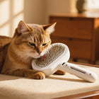 FELVO Vapor, Rechargeable Steam Grooming Brush in use