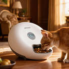 FELVO Butler, Automatic Dry Food Feeder in use