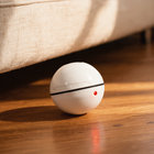 FELVO Orbit, Automatic Laser Ball Toy in use