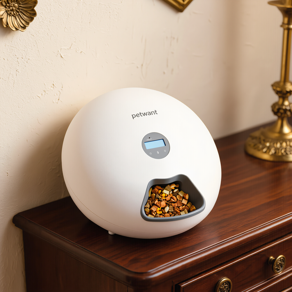 FELVO Steward, Automatic Feeder for Cats and Dogs styled in a warm modern interior