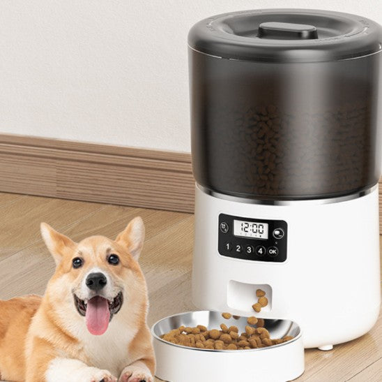 FELVO Cadence, 4L Smart Automatic Feeder, product photo 5