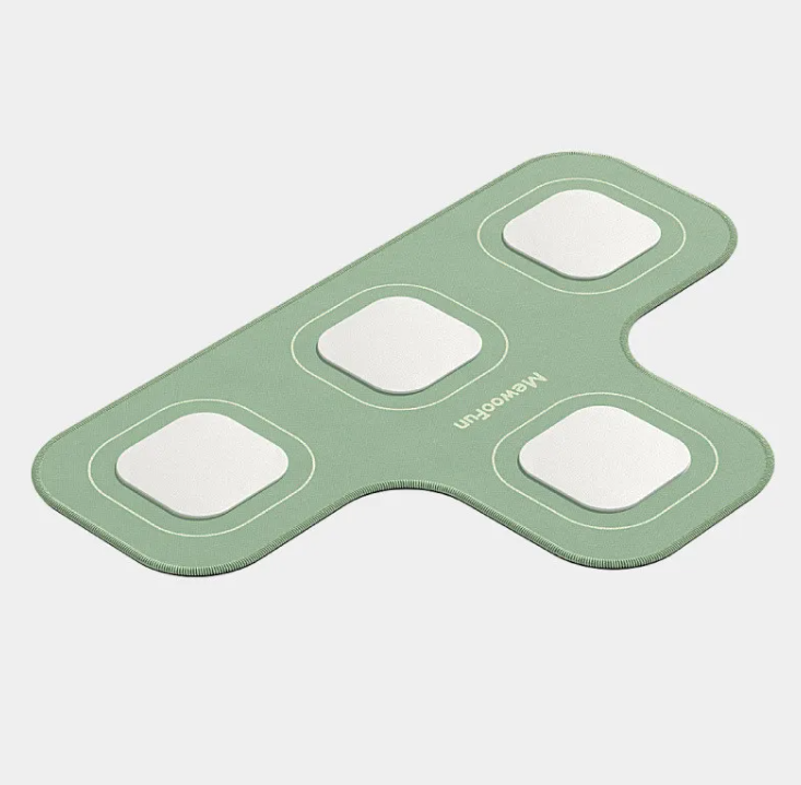FELVO Chatter, Recordable Pet Talk Button, product photo