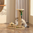 FELVO Sapling, Wood Scratch Post and Play Set in use