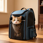 FELVO Expanse, Expandable Backpack Carrier in use