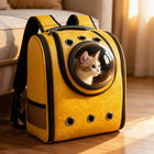 FELVO Capsule, Cat Carrier Backpack in use